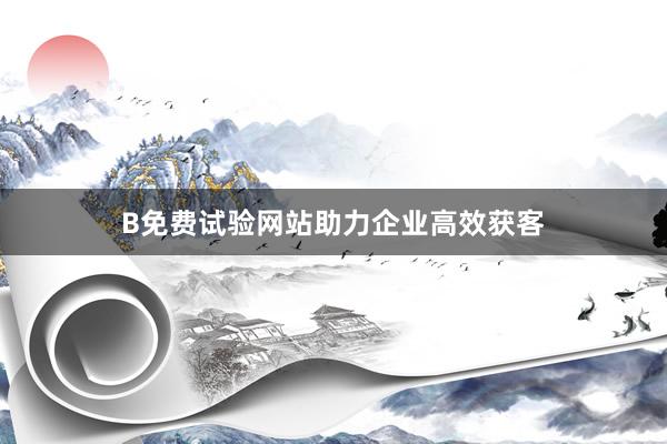 B免费试验网站助力企业高效获客